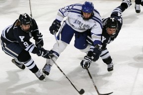 开云网站-东亚杯中国女足夺冠 球员表现赢得好评，2019年东亚杯女足